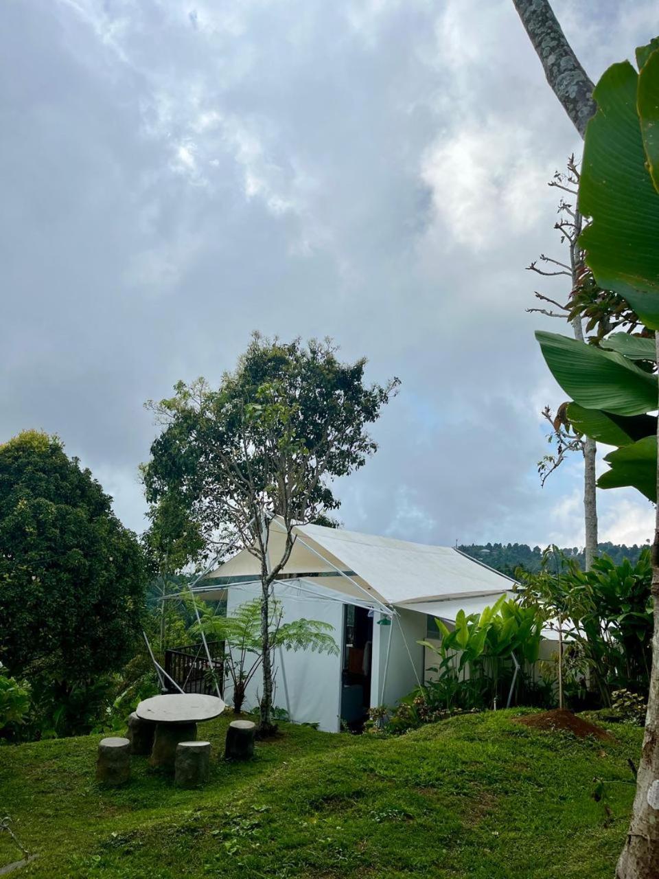 Hotel Harsa Eco Luxury Camp Gobleg  Esterno foto